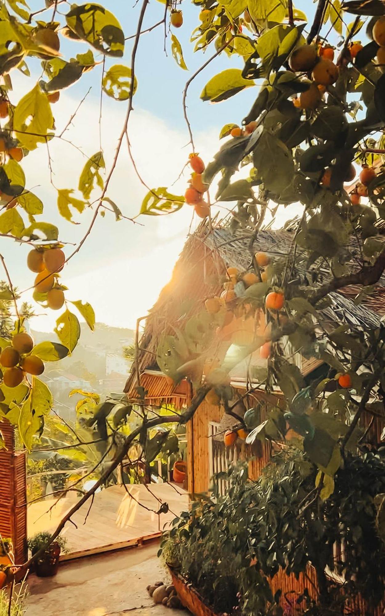 Nay Bungalow Dalat Buitenkant foto
